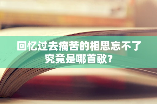 回忆过去痛苦的相思忘不了究竟是哪首歌？